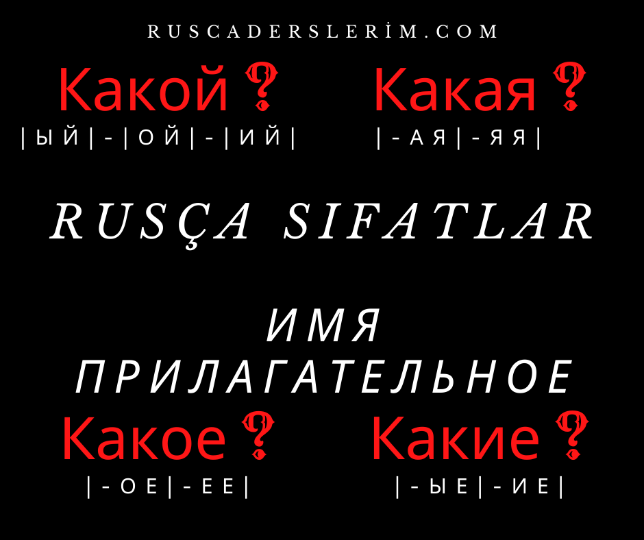 Lisa Ann kotibi porno